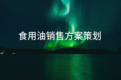 食用油销售方案策划