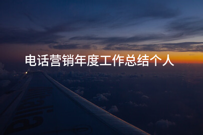 电话营销年度工作总结个人