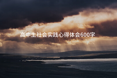 高中生社会实践心得体会600字