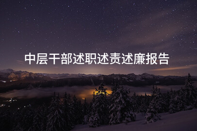 中层干部述职述责述廉报告