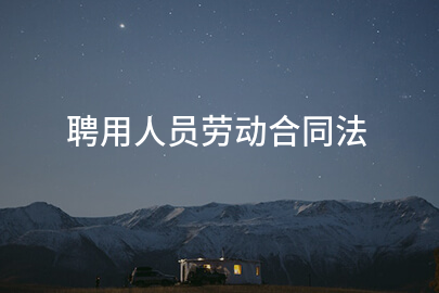 聘用人员劳动合同法