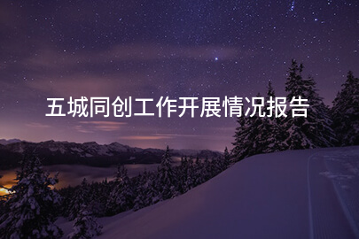 五城同创工作开展情况报告