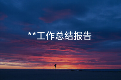 **工作总结报告