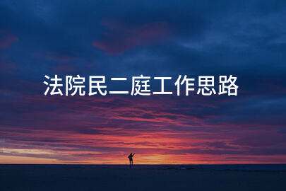 法院民二庭工作思路