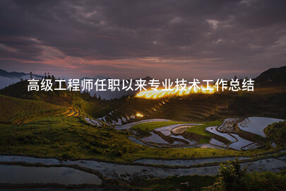 高级工程师任职以来专业技术工作总结