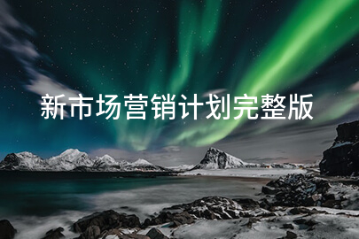 新市场营销计划完整版