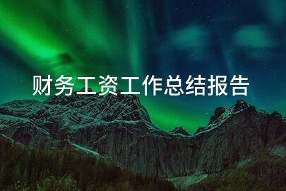财务工资工作总结报告