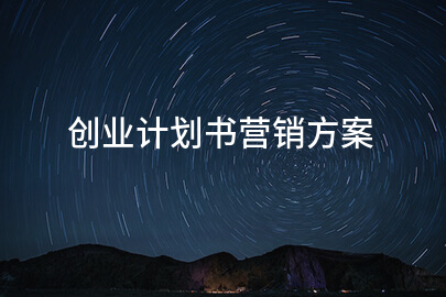 创业计划书营销方案