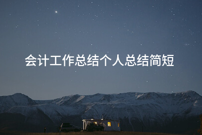 会计工作总结个人总结简短