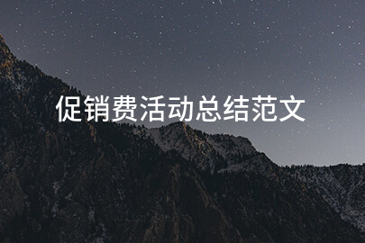 促销费活动总结范文