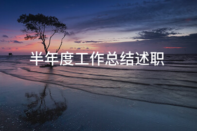 半年度工作总结述职