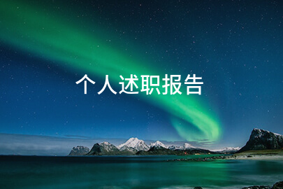 个人述职报告