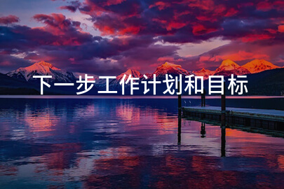 下一步工作计划和目标
