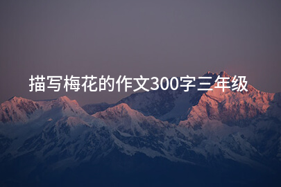 描写梅花的作文300字三年级