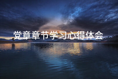 党章章节学习心得体会