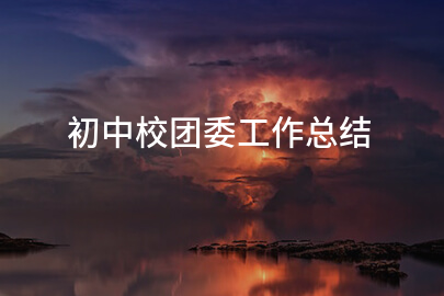 初中校团委工作总结