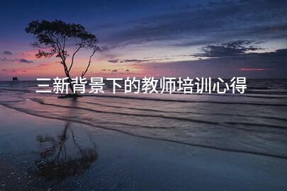 三新背景下的教师培训心得