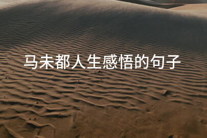 马未都的人生感悟语句
