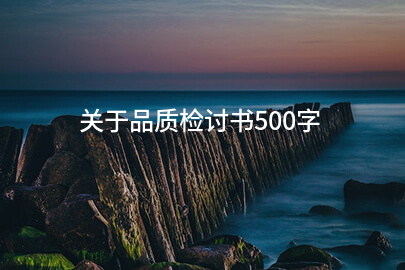 关于品质检讨书500字