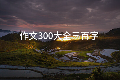 作文300大全三百字