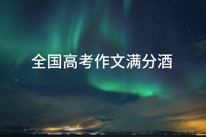 全国高考作文满分酒