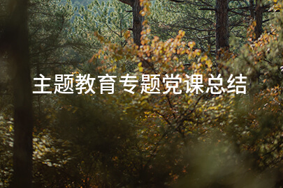 主题教育专题党课总结