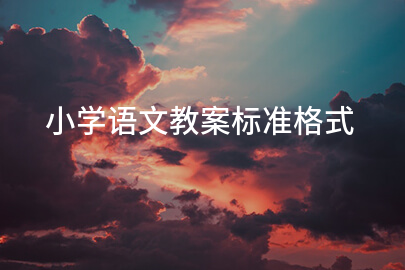 小学语文教案标准格式