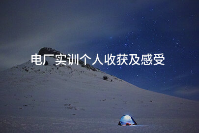 电厂实训个人收获及感受