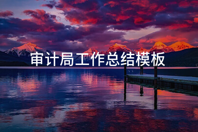 审计局工作总结模板