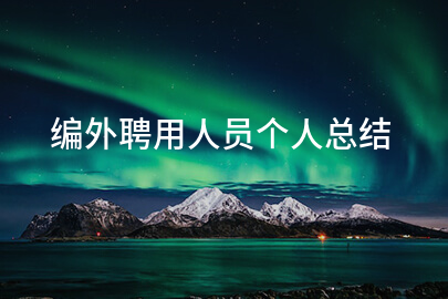 编外聘用人员个人总结