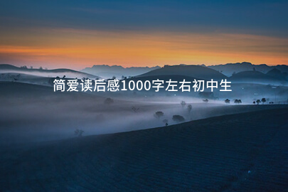 简爱读后感1000字左右初中生