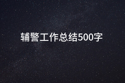 辅警工作总结500字