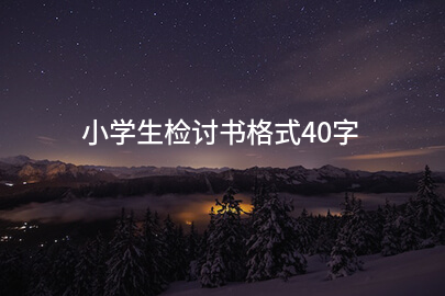 小学生检讨书格式40字