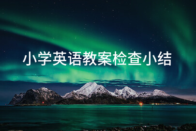 小学英语教案检查小结