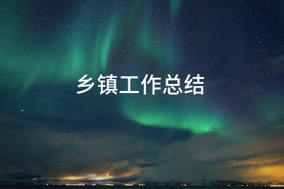 乡镇工作总结