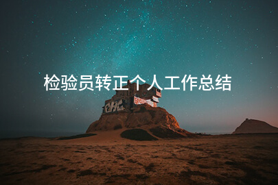 检验员转正个人工作总结