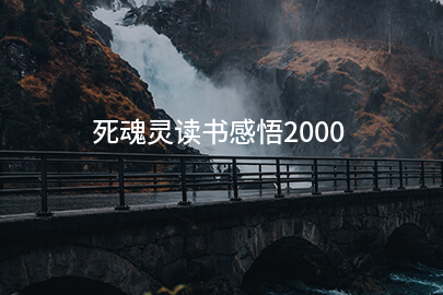 死魂灵读书感悟2000