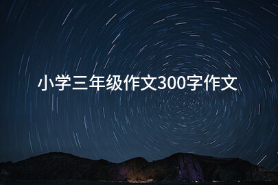 小学三年级作文300字作文