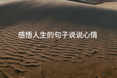 感悟人生的句子说说心情
