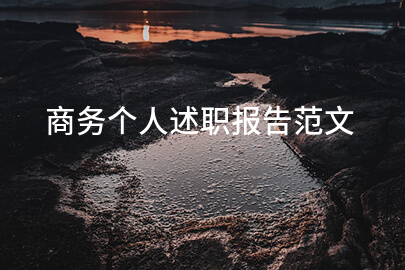 商务个人述职报告范文