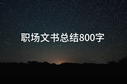 职场文书总结800字