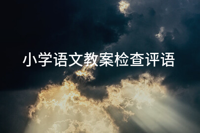 小学语文教案检查评语