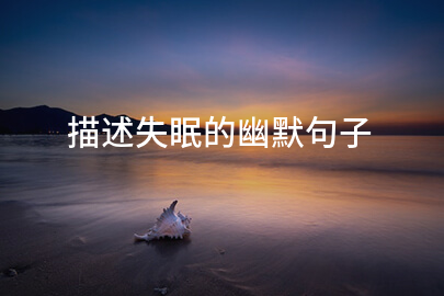 描述失眠的幽默句子