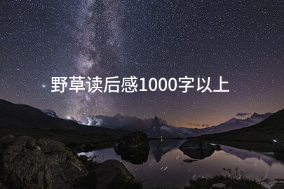 野草读后感1000字以上