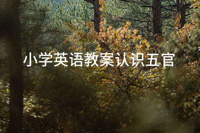 小学英语教案认识五官