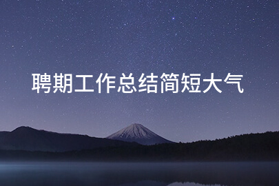 聘期工作总结简短大气