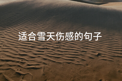 适合雪天伤感的句子