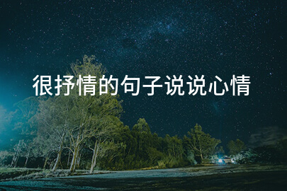很抒情的句子说说心情