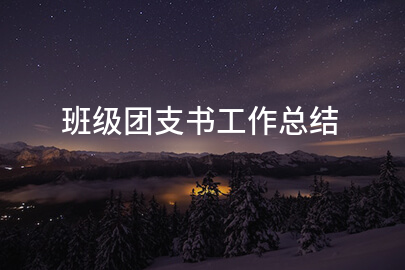 班级团支书工作总结