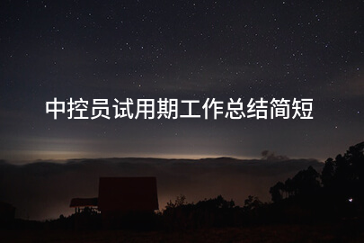 中控员试用期工作总结简短